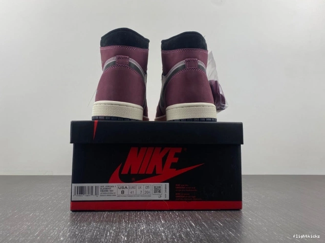 Jordan Gore-Tex Air Element 1 DB2889-500 0724